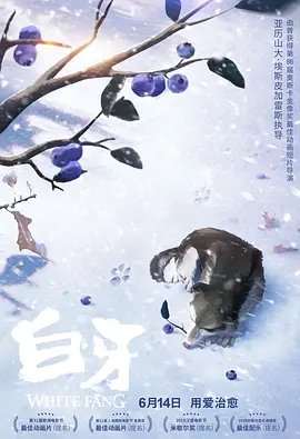 上司的妻子免费观看正版电视剧中文字幕