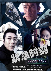 国内精品久久久久久久久野战