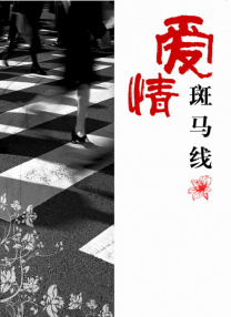 亚洲精品国产三级在线观看