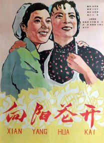 扒开美女大腿